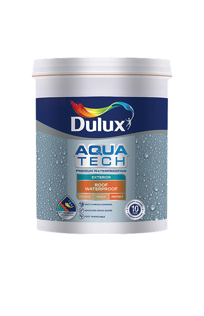Exterior Wall Paints